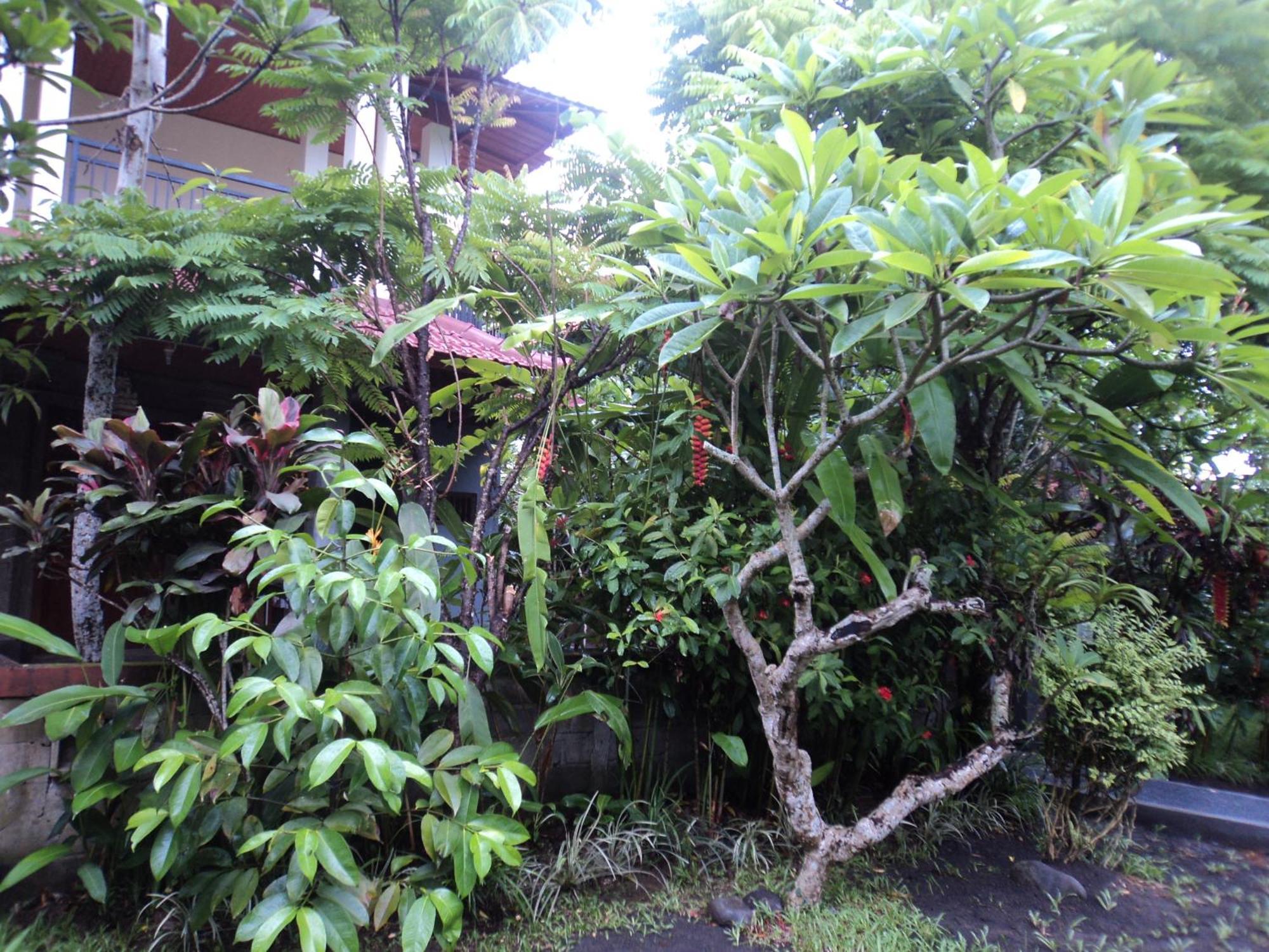 Villa Bhuana Alit Ubud Quarto foto